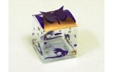 2000203 F-193 Chocolate Box